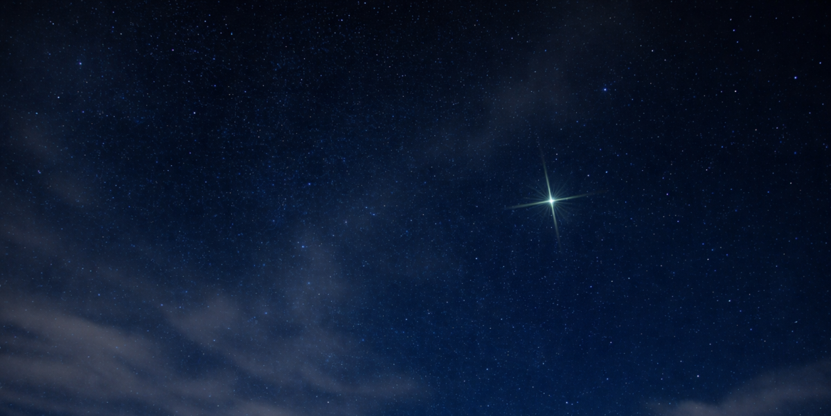 Featured image for “The Luminous Path ~”