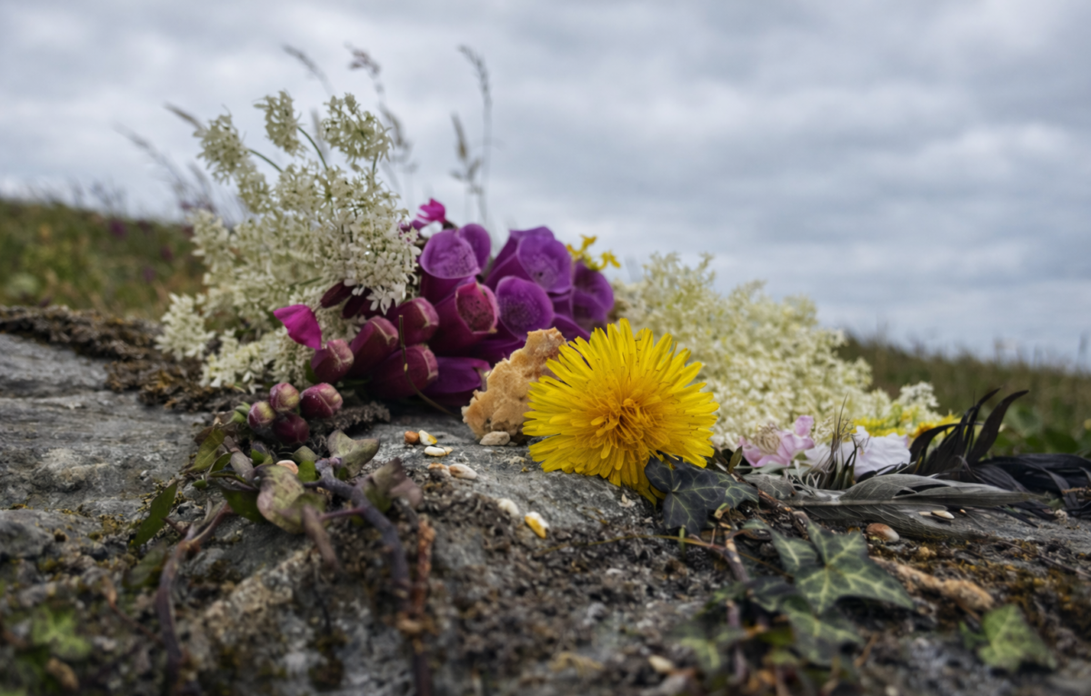 Featured image for “The Prayer of Thank You”