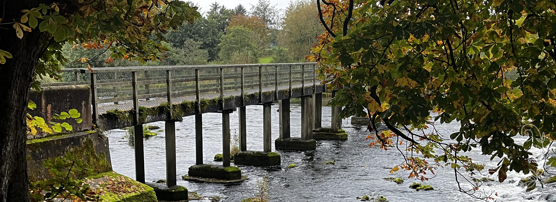Bridge Energy healing England